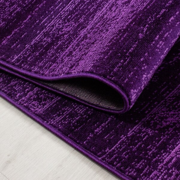 Tmavofialový koberec 160x230 cm Plus – Ayyildiz Carpets