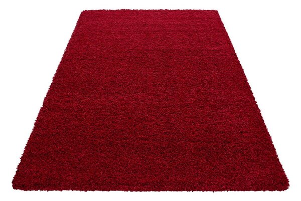 Červený koberec 80x150 cm Life – Ayyildiz Carpets