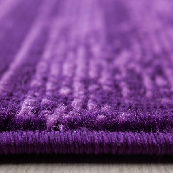 Tmavofialový koberec 160x230 cm Plus – Ayyildiz Carpets