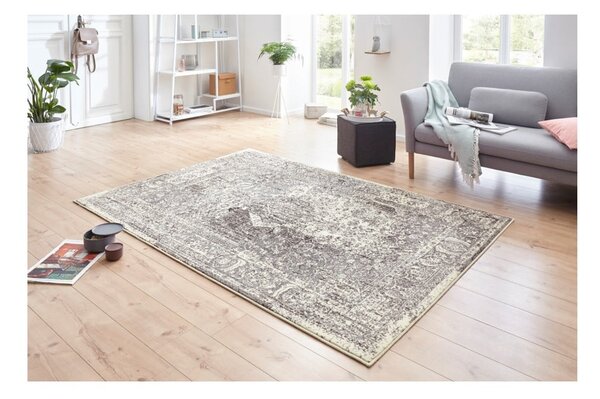 Sivo-krémový koberec Hanse Home Celebration Plume, 80 x 150 cm