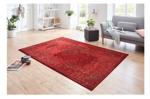 Červený koberec Hanse Home Celebration Plume, 200 x 290 cm