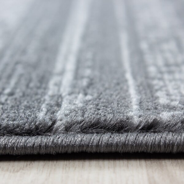 Sivý koberec 160x230 cm Plus – Ayyildiz Carpets