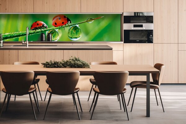 DIMEX | Dibond doska za kuchynskú linku | DBW-26060-015 Lienka | 260 x 60 cm