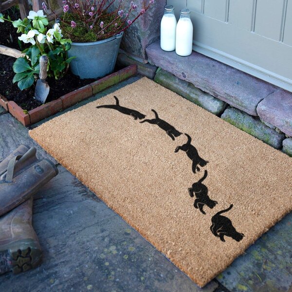 Rohožka z kokosového vlákna 40x60 cm Jumping Cats – Artsy Doormats