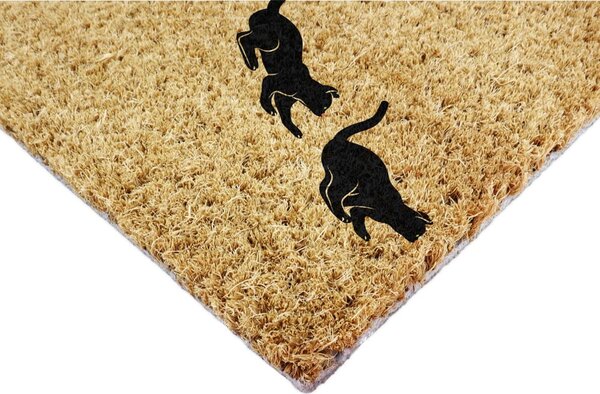 Rohožka z kokosového vlákna 40x60 cm Jumping Cats – Artsy Doormats