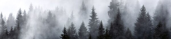DIMEX | Dibond doska za kuchynskú linku | DBW-26060-143 Hmla | 260 x 60 cm