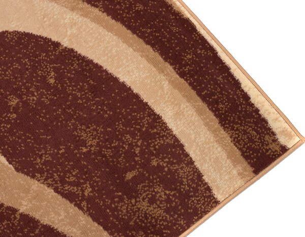 TA Koberec 2641D BROWN CHEAP PP BGX Hnedý Obdĺžnikový Rozmer: 80x150 cm
