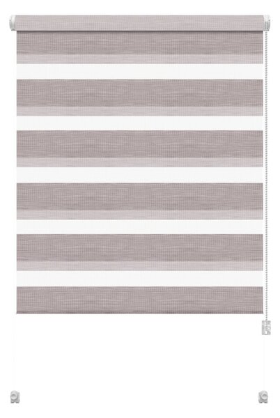 Taupe roleta deň a noc 42,5x150 cm Zebra Silvalin – Gardinia
