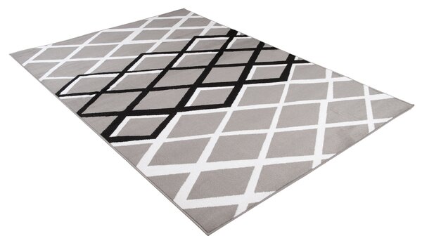 TA Koberec T237B GRAY LUXURY PP ESM Sivý Obdĺžnikový Rozmer: 220x300 cm
