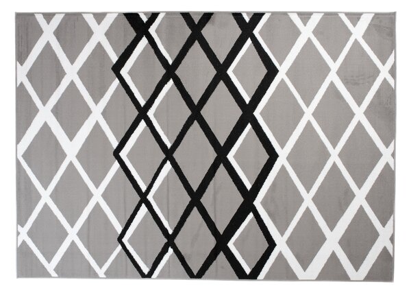 TA Koberec T237B GRAY LUXURY PP ESM Sivý Obdĺžnikový Rozmer: 220x300 cm