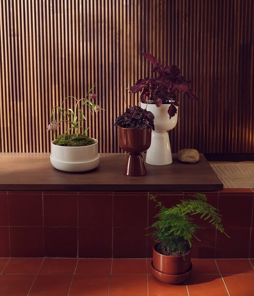 Iittala Kvetináč Nappula S, hnedý