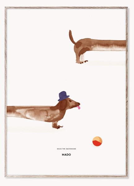 Plagát Doug the Dachshund
