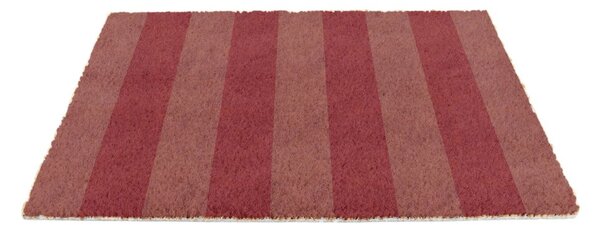 Rohožka z kokosového vlákna 40x60 cm Pink Stripe – Artsy Doormats
