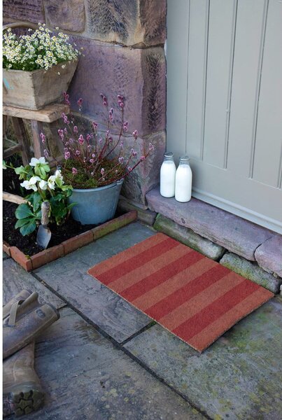 Rohožka z kokosového vlákna 40x60 cm Pink Stripe – Artsy Doormats