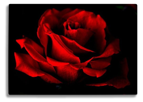 Sklenená doska na krájanie Insigne Red Rose