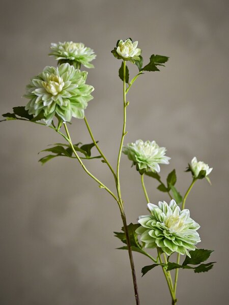 Umelá kvetina Chrysantemum White 75 cm