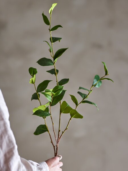 Umelý kvet Eucalyptus Green 110 cm