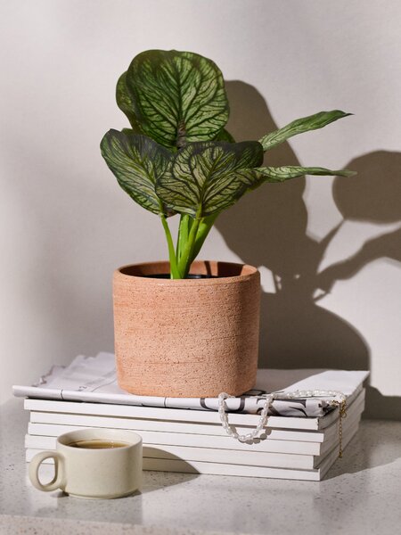 Sinsay - Umelá dekoratívna rastlina Alocasia v kvetináči - zelená