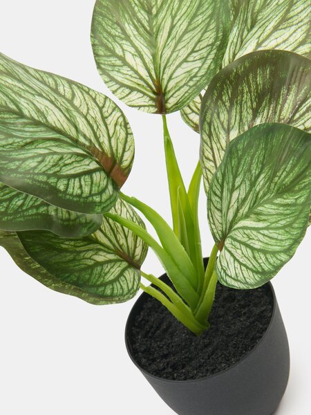 Sinsay - Umelá dekoratívna rastlina Alocasia v kvetináči - zelená