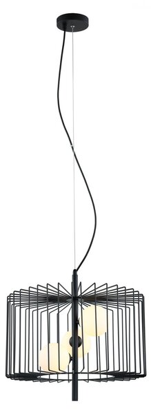 Italux MDM-3937/3 BK Daren | 25W G9