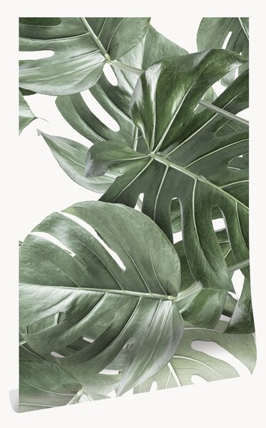 Tapeta z netkanej textílie Monstera