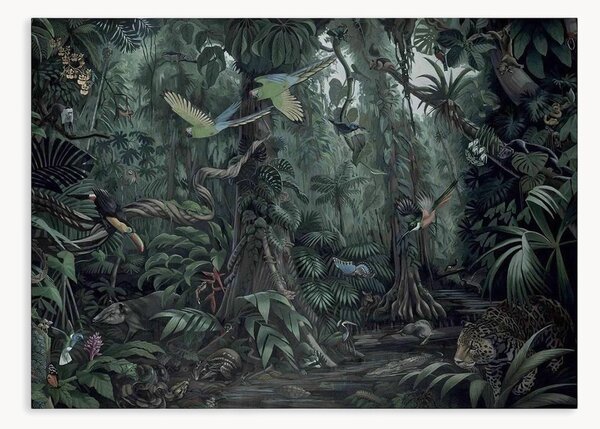 Tapeta Tropical Landscapes