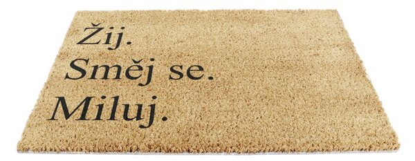 Rohožka z kokosového vlákna 40x60 cm Žij a Miluj – Artsy Doormats