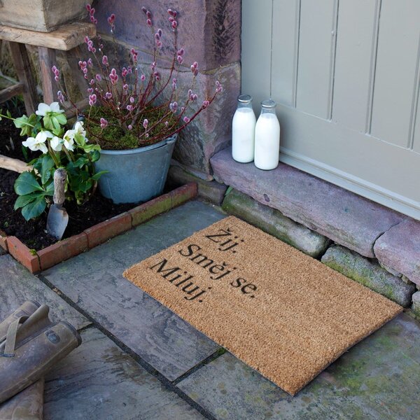 Rohožka z kokosového vlákna 40x60 cm Žij a Miluj – Artsy Doormats