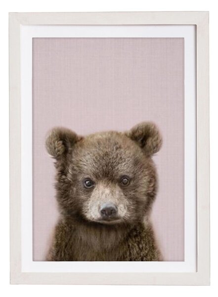 Nástenný obraz v ráme Querido Bestiario Baby Bear, 30 x 40 cm