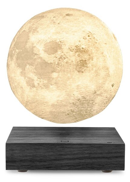 Čierna svetelná dekorácia do zásuvky ø 12 cm Moon – Gingko