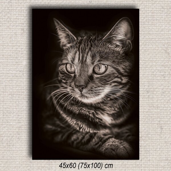 Obraz Mačka 02 Hnedá 60x45 cm