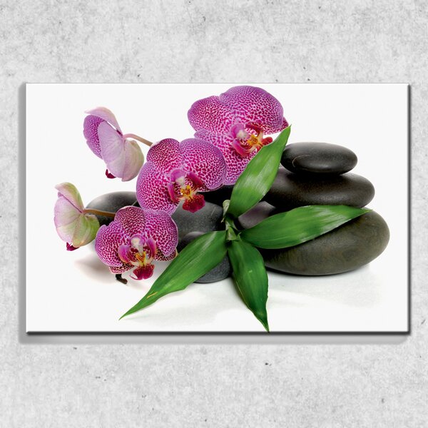 Foto na plátne Orchidea na kameňoch 90x60 cm