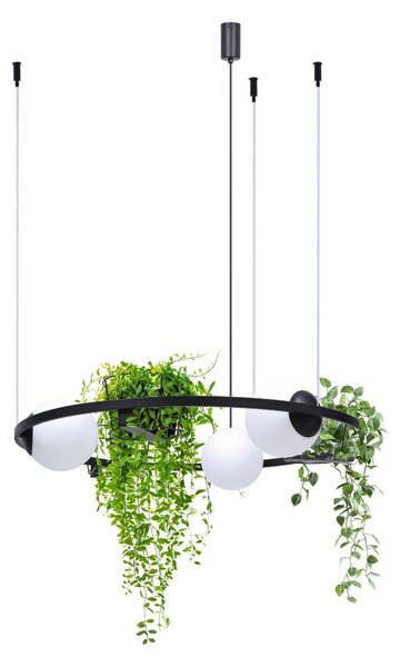 Zuma Line 5005 závesné stropné svietidlo PLANT | 40W E27