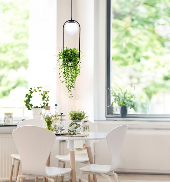 Zuma Line 5003 závesné stropné svietidlo PLANT | 40W E14