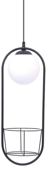 Zuma Line 5003 závesné stropné svietidlo PLANT | 40W E14