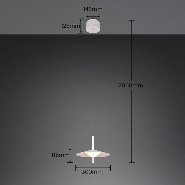 Trio Lighting LED závesné svietidlo Amalo, matná biela, Ø 30 cm, kov,, Biela / opálová, Obývacia izba / jedáleň, kov, Moderný, Závesné svietidlo