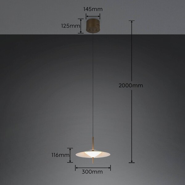 Trio Lighting LED závesné svietidlo Amalo, platinová farba, Ø 30 cm, kov,, Hliník / sivá / zinok, Obývacia izba / jedáleň, kov, Moderný, Závesné svietidlo