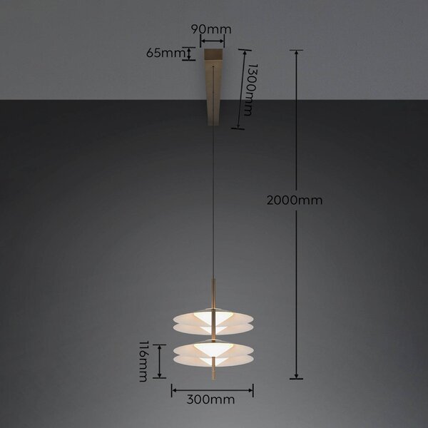 Trio Lighting LED závesné svietidlo Amalo v platinovej farbe, dĺžka 146 cm, 4-pl., Hliník / sivá / zinok, Obývacia izba / jedáleň, kov, Moderný, Závesné svietidlo