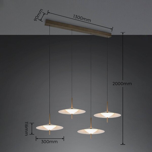 Trio Lighting LED závesné svietidlo Amalo v platinovej farbe, dĺžka 146 cm, 4-pl., Hliník / sivá / zinok, Obývacia izba / jedáleň, kov, Moderný, Závesné svietidlo
