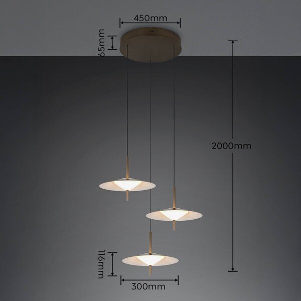 Trio Lighting LED závesné svietidlo Amalo, platinová farba, Ø 67 cm, kov, 3-pl., Hliník / sivá / zinok, Obývacia izba / jedáleň, kov, Moderný, Závesné svietidlo