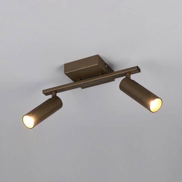 Trio Lighting Stropné bodové svetlo Dara, dĺžka 28 cm, platinová farba, kovový, 2-pl., Hliník / sivá / zinok, Obývacia izba / jedáleň, kov, Moderný, Stropné svetlo