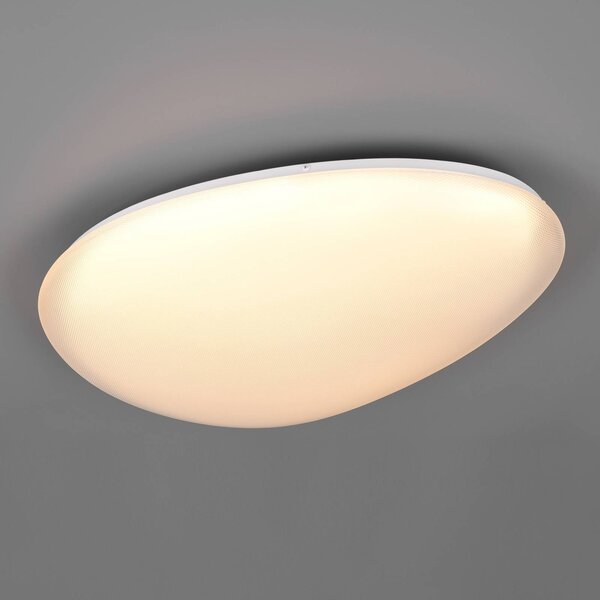 Trio Lighting Stropné LED svetlo Ozera, dĺžka 55 cm, biele, plast,, Biela / opálová, Obývacia izba / jedáleň, Plast, Moderný