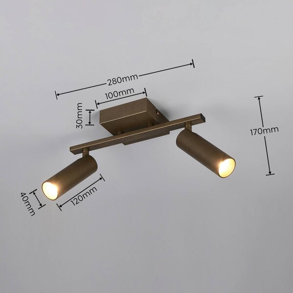 Trio Lighting Stropné bodové svetlo Dara, dĺžka 28 cm, platinová farba, kovový, 2-pl., Hliník / sivá / zinok, Obývacia izba / jedáleň, kov, Moderný, Stropné svetlo