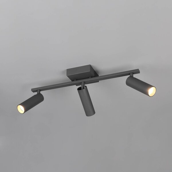 Trio Lighting Stropné bodové svetlo Dara, dĺžka 46 cm, antracitová farba, kov, 3-pl., Čierna, Obývacia izba / jedáleň, kov, Moderný, Stropné svetlo