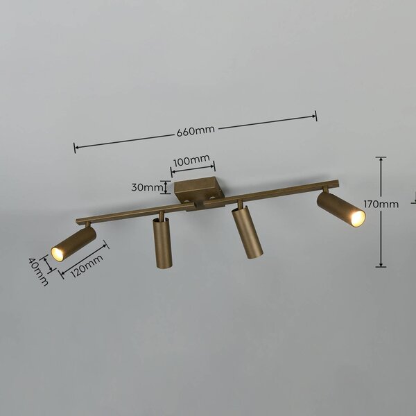 Trio Lighting Stropné bodové svetlo Dara, dĺžka 66 cm, platinovo sfarbený kov, 4-pl., Hliník / sivá / zinok, Obývacia izba / jedáleň, kov, Moderný, Stropné svetlo
