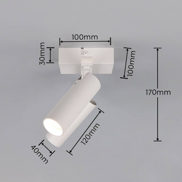 Trio Lighting Stropné bodové svetlo Dara, dĺžka 28 cm, sivý, kov, 2-pl., Hliník / sivá / zinok, Obývacia izba / jedáleň, kov, Moderný, Stropné svetlo