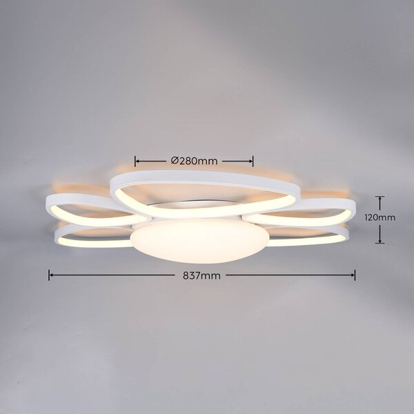 Trio Lighting Stropné LED svetlo Amelio, biele, 85 cm, diaľkové ovládanie, Biela / opálová, Obývacia izba / jedáleň, Plast, Moderný