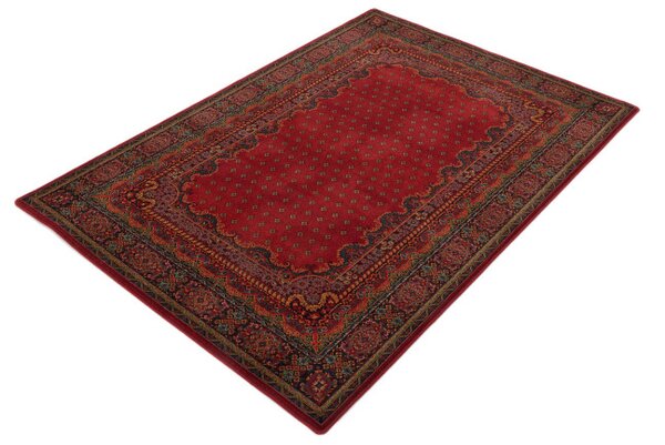 Koberec Dywilan Polonia Baron Burgund 2