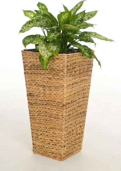 Kvetináč ASIA, vodný hyacint, výška 60 cm, natur