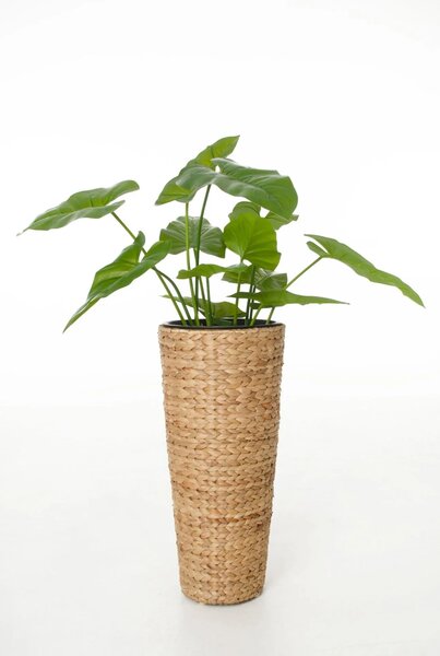 Kvetináč CLASSIC ROUND, vodný hyacint, výška 60 cm, natur